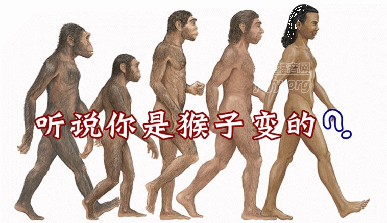你是哪只猴子变的？